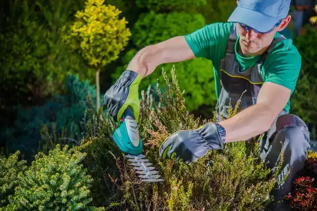 landscaping services Mendenhall